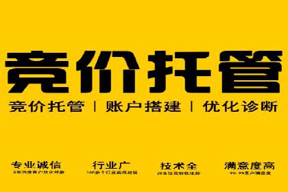 深度解读：百度推广运营的五大成功案例